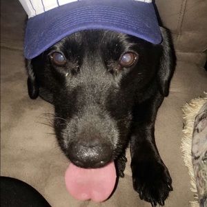 Meet your Posher, Chyanne