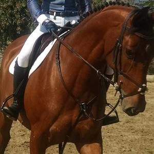 Meet your Posher, Karen