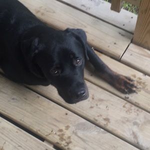 Meet your Posher, Edwin