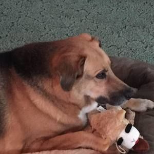 Meet your Posher, Terese