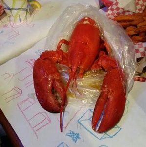 Meet your Posher, Katrina