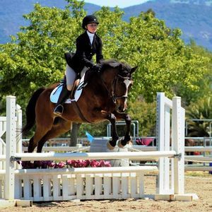 Meet your Posher, Haley