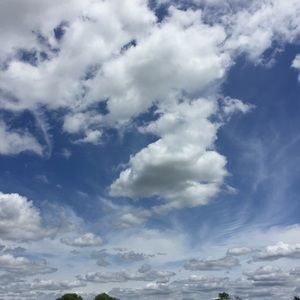 Meet your Posher, Ann