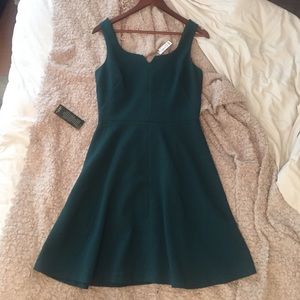 Beautiful fall dress in forest green THE LIMITED.