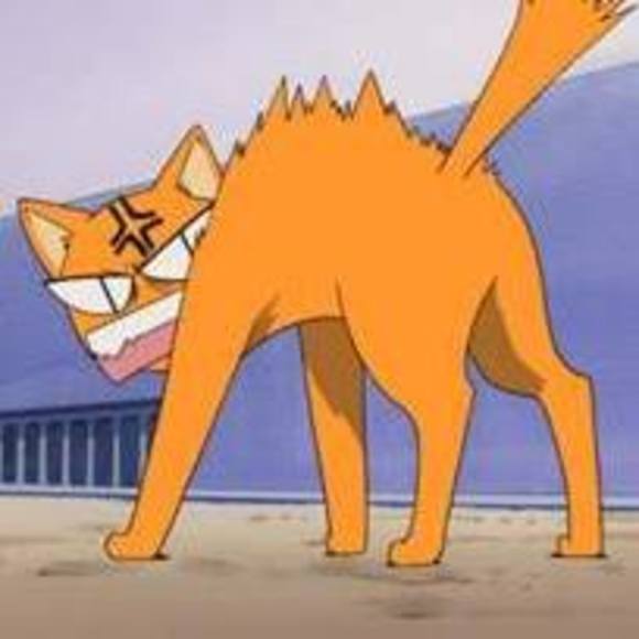 Meet your Posher, Debra - Picture 1 of 1