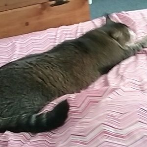 Meet your Posher, Bethany