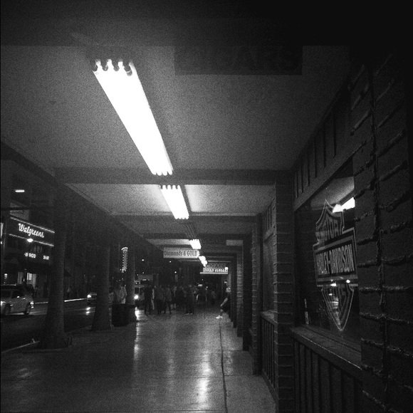 Meet your Posher, Tehani - Picture 1 of 1