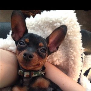 Meet your Posher, Erin