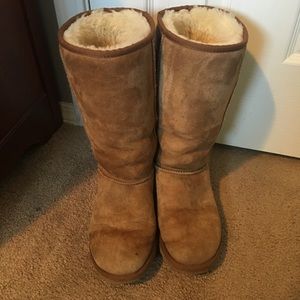 Tall Chestnut Uggs