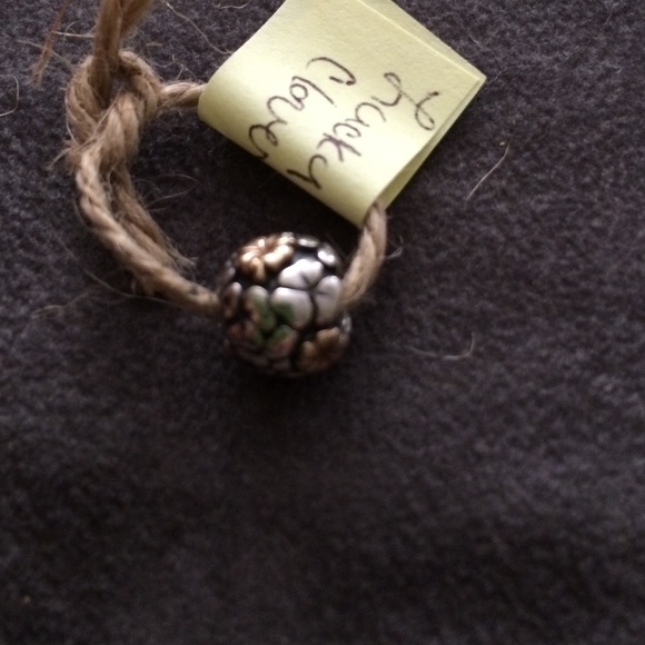 Pandora charm