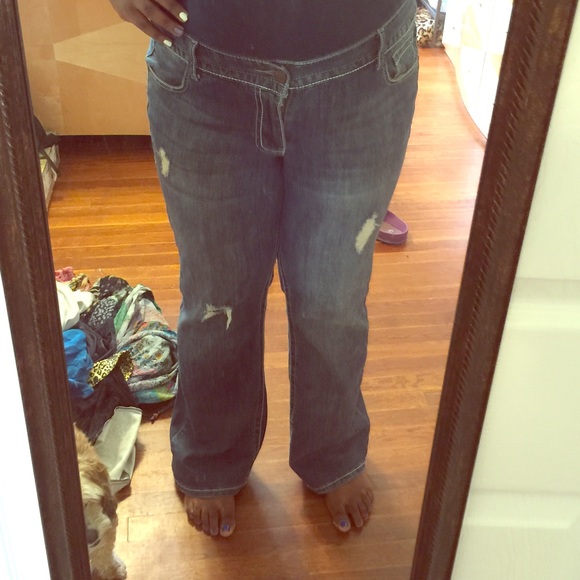 SIZE 18- Lane Bryant Distressed Bootcut Jeans