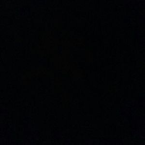 Meet your Posher, Evelyn