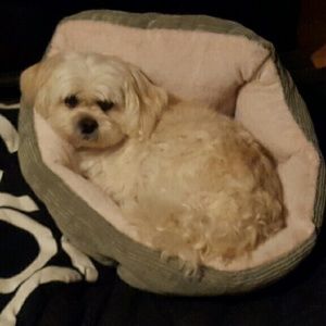 Meet your Posher, Shari