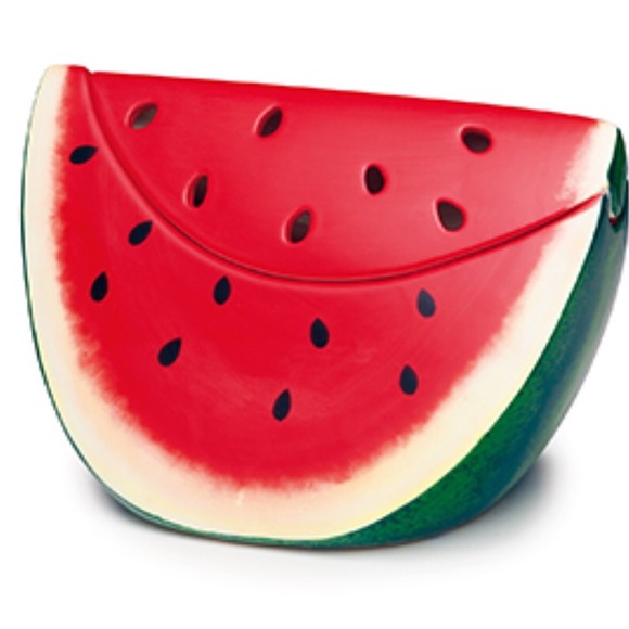 Watermelon Scentsy Warmer