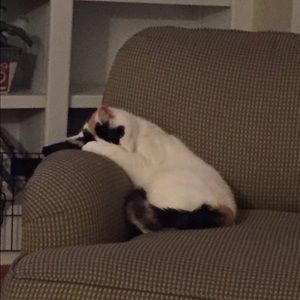 Meet your Posher, Dana