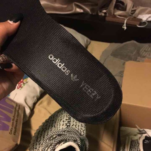 Turtle Dove 350 boost main image 4