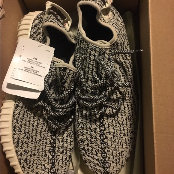 Turtle Dove 350 boost