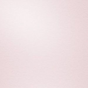 Meet your Posher, Cheyenne