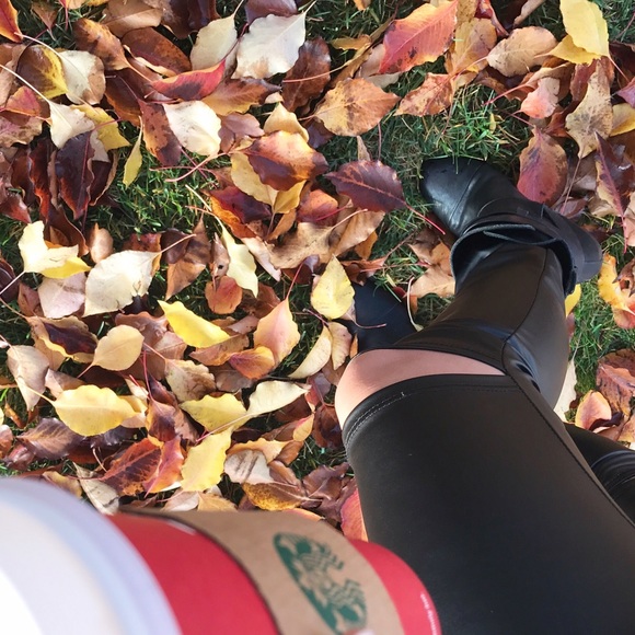 MRSALLIEXO - Picture 4 of 4