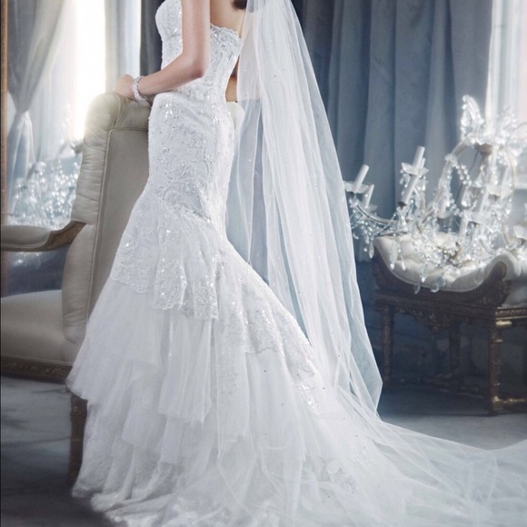 David's Bridal Dresses & Skirts - Spanish Style Wedding Gown