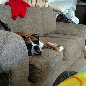 Meet your Posher, Janet