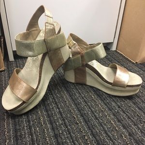 OTBT Bushnell Wedges