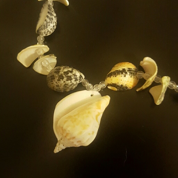 Shell Necklace Conch Beach - Picture 3 of 4