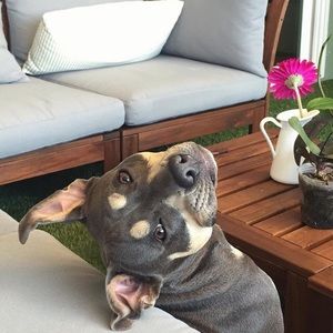 Meet your Posher, Cameron