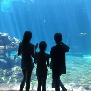 Meet your Posher, Christie