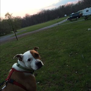 Meet your Posher, Sabrina