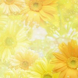 Meet your Posher, Gretchen