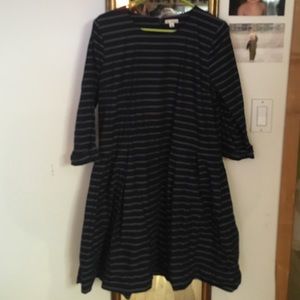 Gap Blue Striped Cotton Fitted A-Line Dress 14