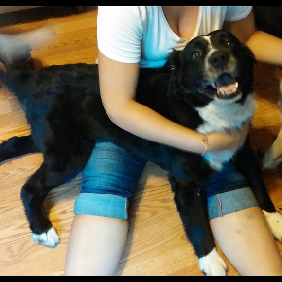 Meet your Posher, Tiffany - Picture 1 of 1