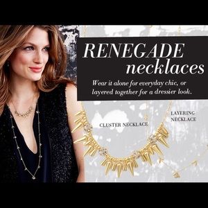 Stella & Dot Renegade 14k plated Gold necklace