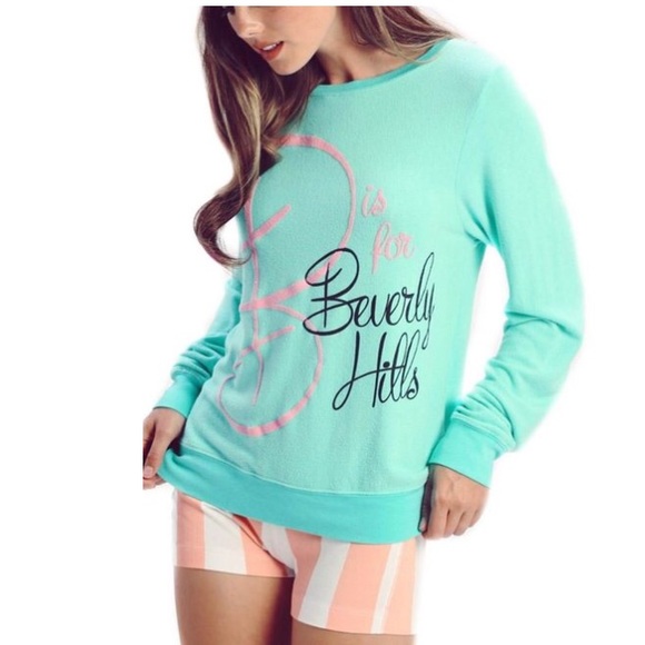 NWT Rare Wildfox Baggy Beach Jumper Sweatshirt