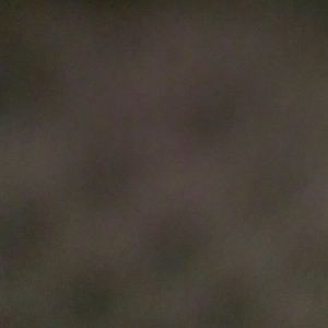 Meet your Posher, Isiah