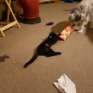 Meet your Posher, Stacey