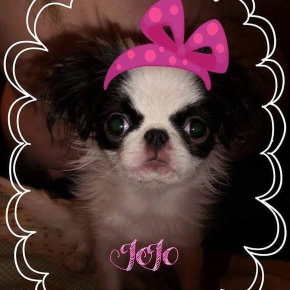 Meet your Posher, Deborah