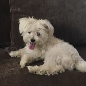 Meet your Posher, Catherine