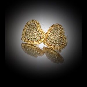 Stunning Heart Earrings