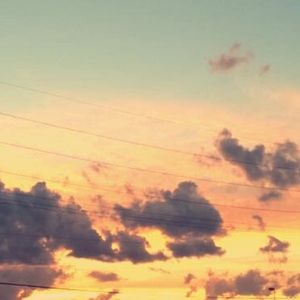 Meet your Posher, Sophia