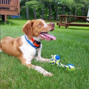 Meet your Posher, Jericca