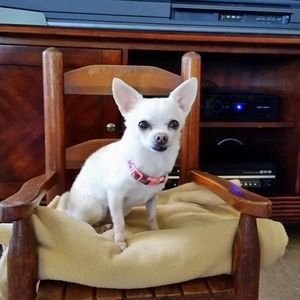 Meet your Posher, Jean