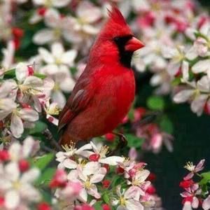 Meet your Posher, Janet