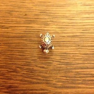 Pandora turtle charm