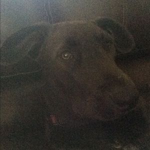 Meet your Posher, Brian