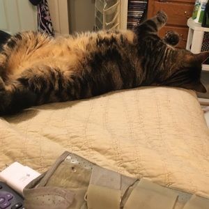 Meet your Posher, Anne