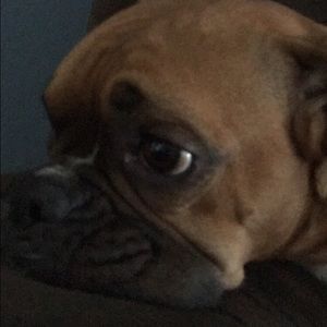 Meet your Posher, Cali