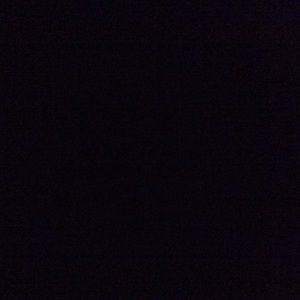 Meet your Posher, Tyson