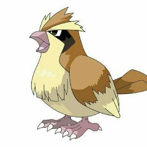 Meet your Posher, Chrissy